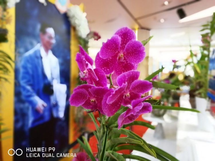 Huawei P9 Photo