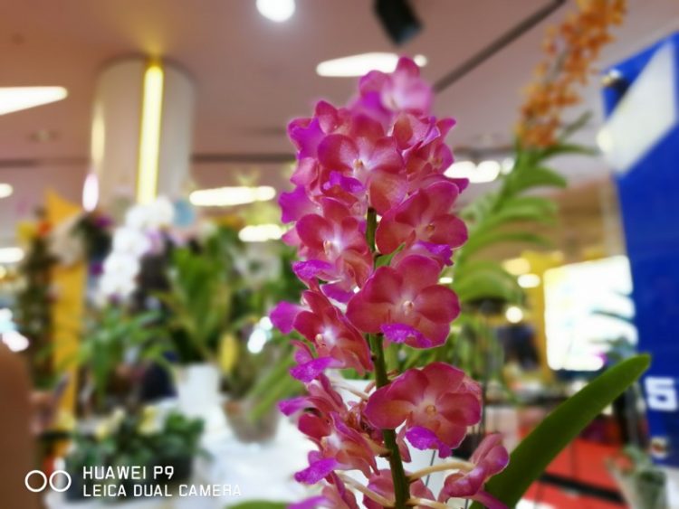 Huawei P9 Photo