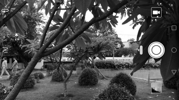 Monochrome