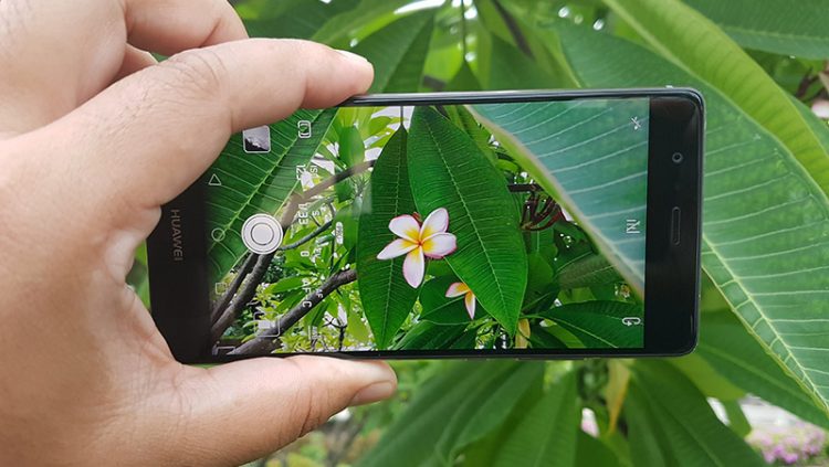 pro-mode