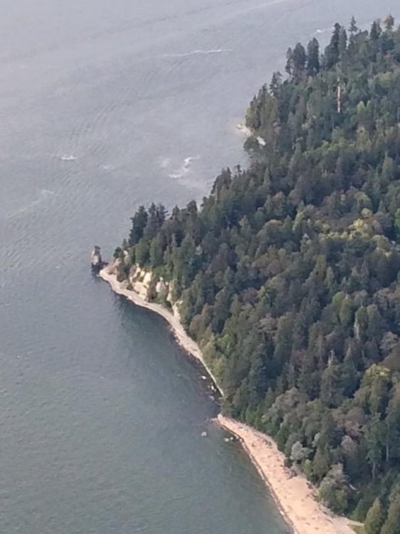 One-of-the-last-photos-snapped-before-the-iPhone-5s-was-dropped