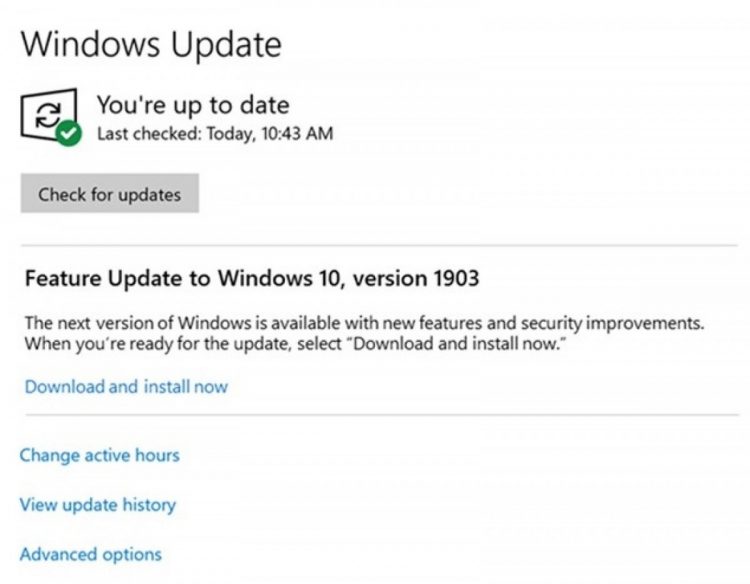 Windows 10 Update May 2019