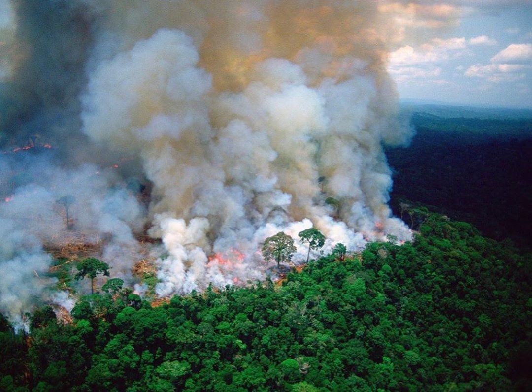 Amazon rainforest fires ไฟไหม้ป่าอเมซอน