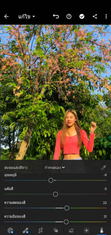 คุมโทน Dark green Hipster Lightroom