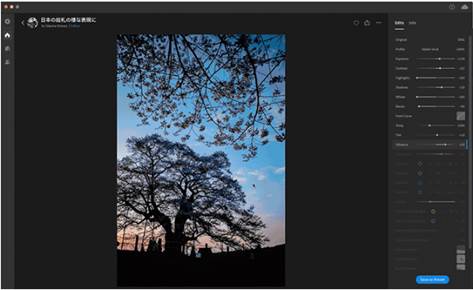 Adobe Live Adobe CC Photoshop Lightroom XD