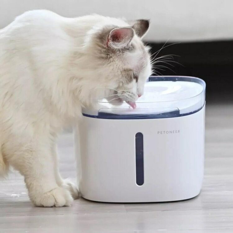 Xiaomi MIJIA Smart Pet Water Dispenser 