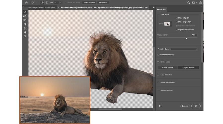 Adobe Photoshop 22.0