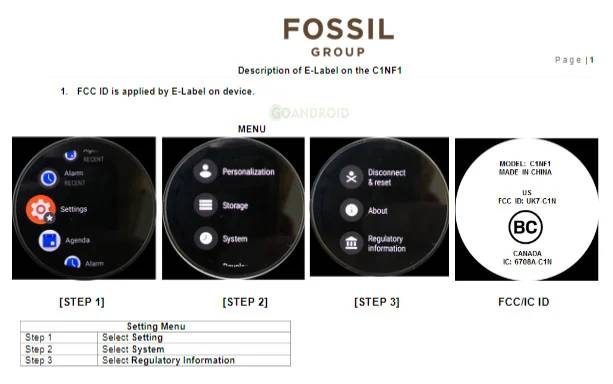 Fossil Gen 6 FCC