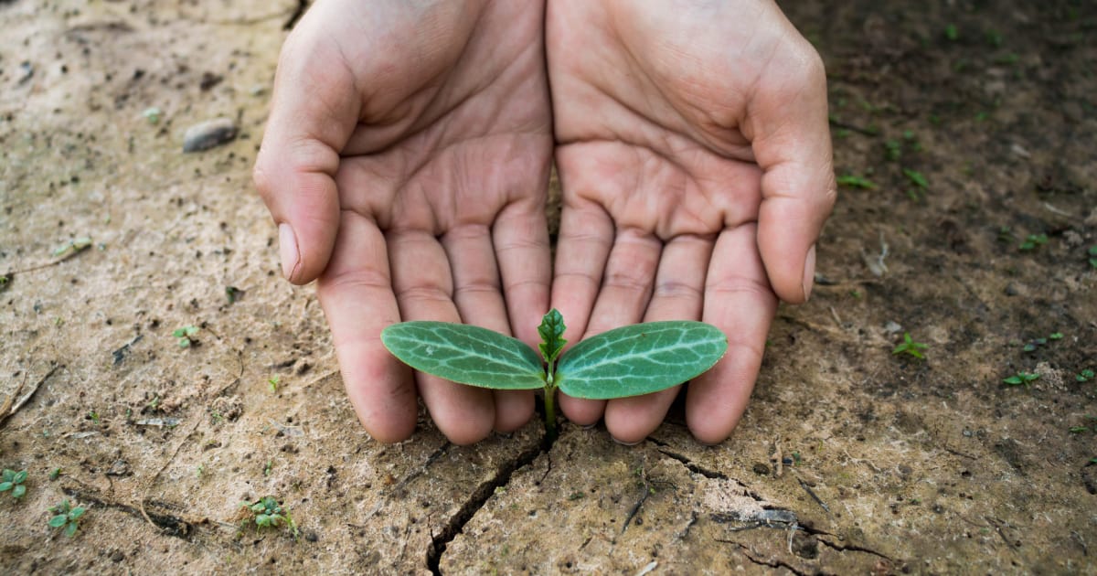 Apple เปิดตัว Restore Fund กองทุนเพื่อการฟื้นฟูธรรมชาติ มูลค่า 200 ล้าน