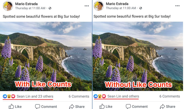Facebook Hide Like Count