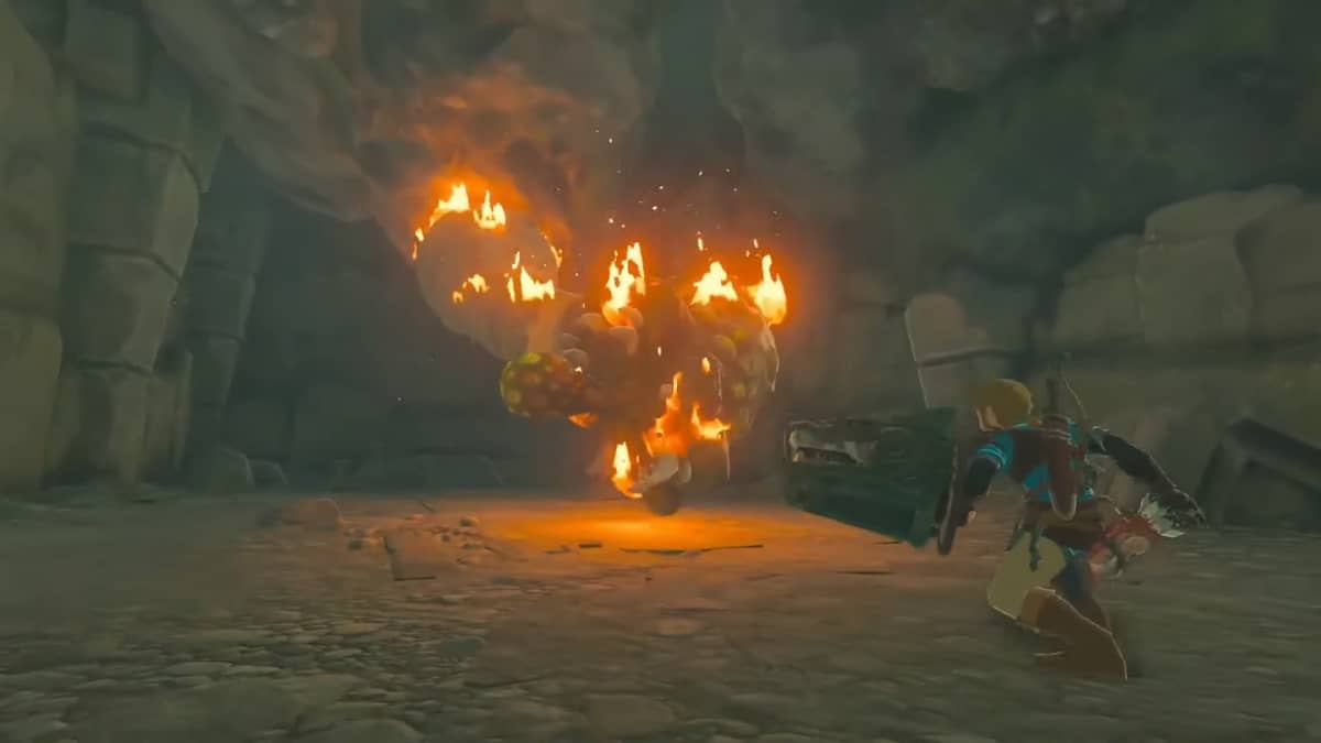 The Legend of Zelda : Breath of the Wild 2