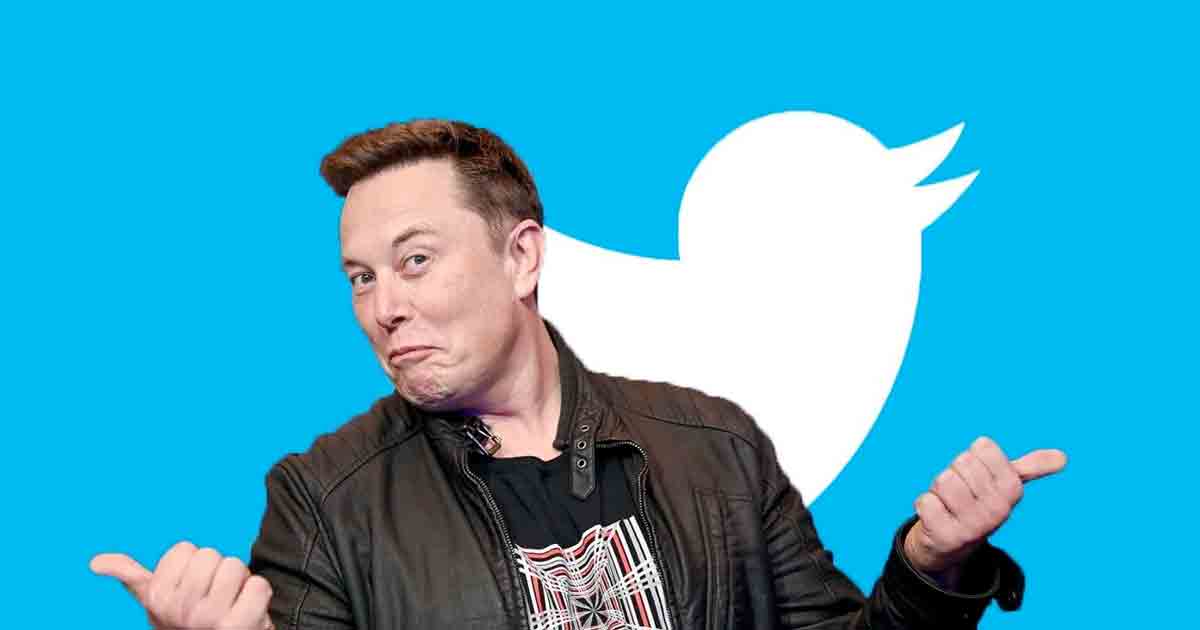 Elon Musk Twitter Take Over