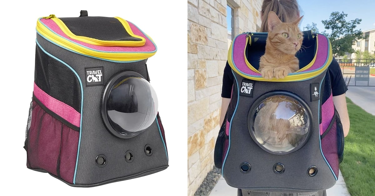 Stray x Travel Cat Backpack - Limited-Edition