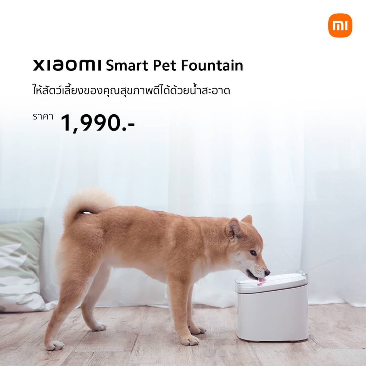 เปิดตัว น้ำพุ Xiaomi Smart Pet Fountain ราคา 1,990 บาท และ เครื่องให้อาหาร Xiaomi Smart Pet Food Feeder ราคา 2,990 บาท