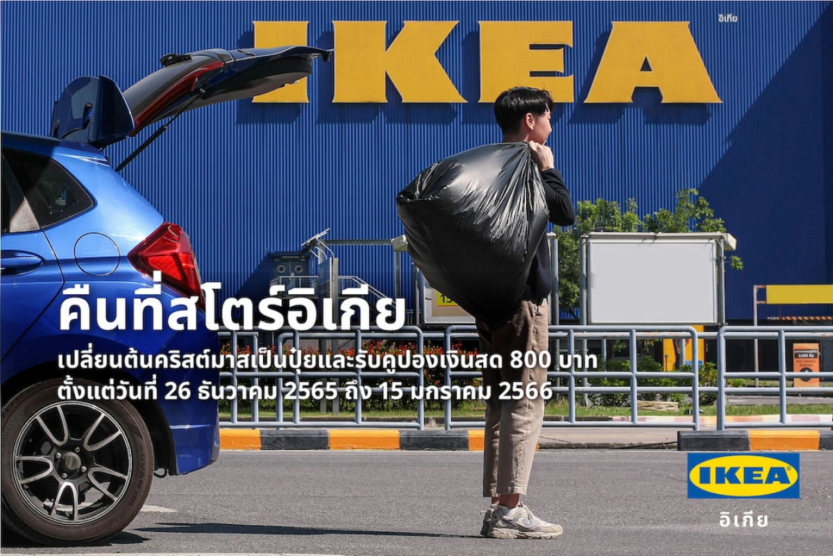 IKEA-คูปองเงินสด-ต้นสนสด