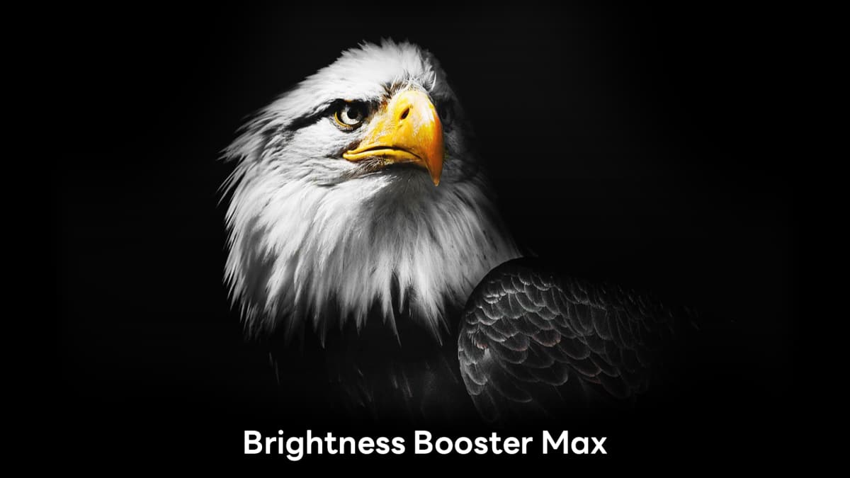LG นวัตกรรม OLED ทีวี Brightness Booster Max