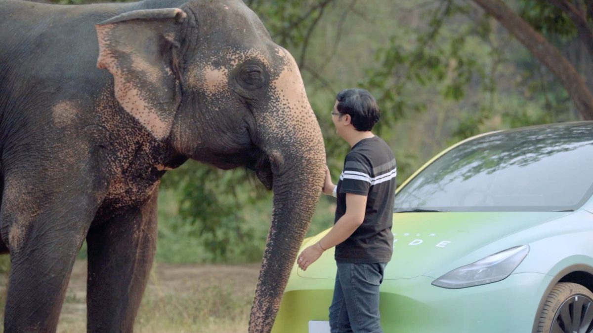 tesla Drive with Pride 2024