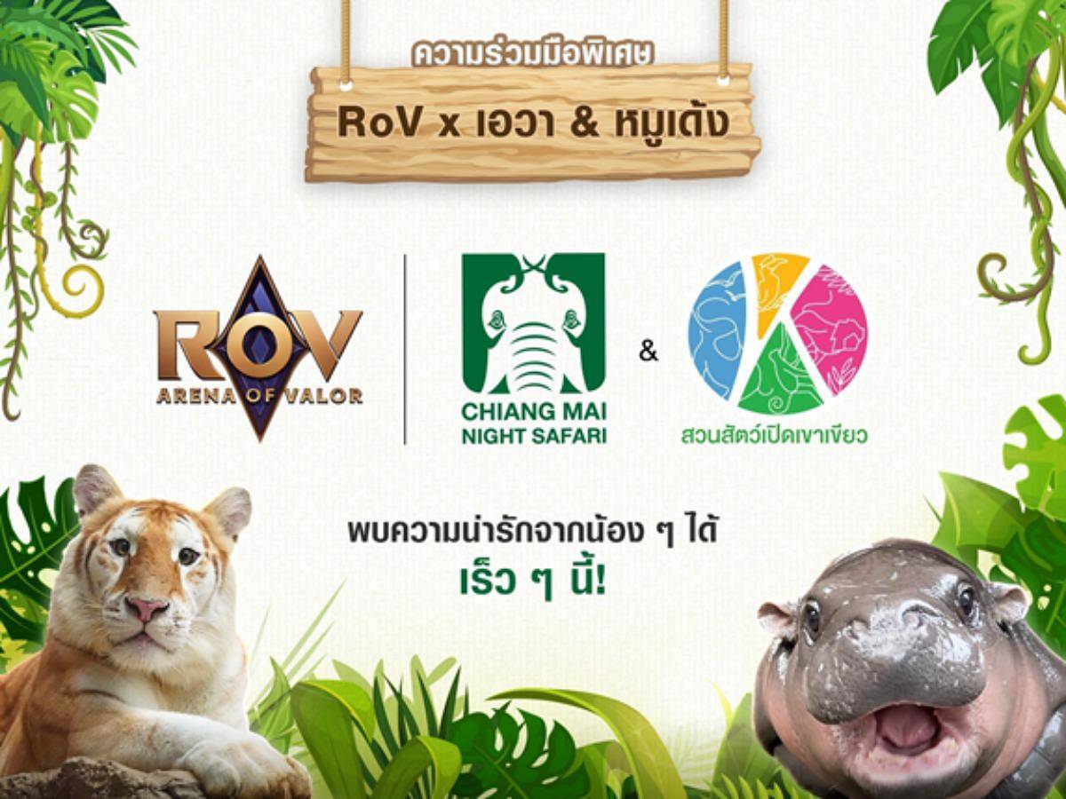 RoV เอวา หมูเด้ง