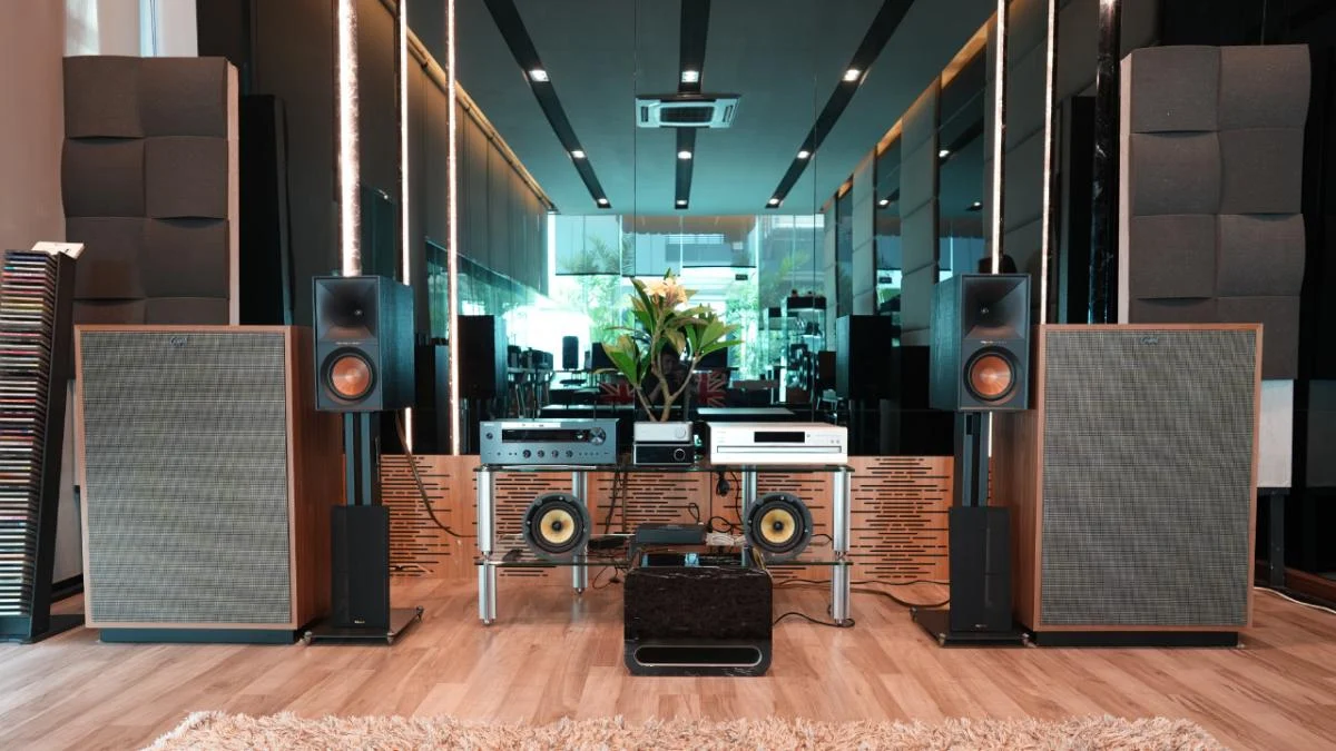 WiiM Vibelink Amp